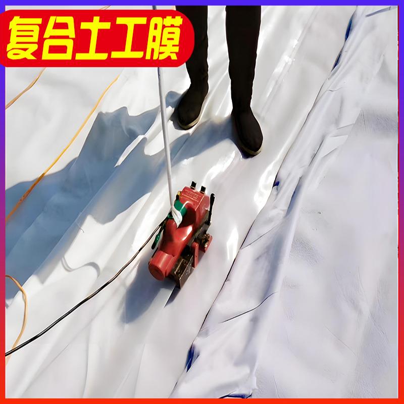 复合土工膜抗拉耐老化防渗膜鱼塘鱼池蓄水池河道防水护坡防漏