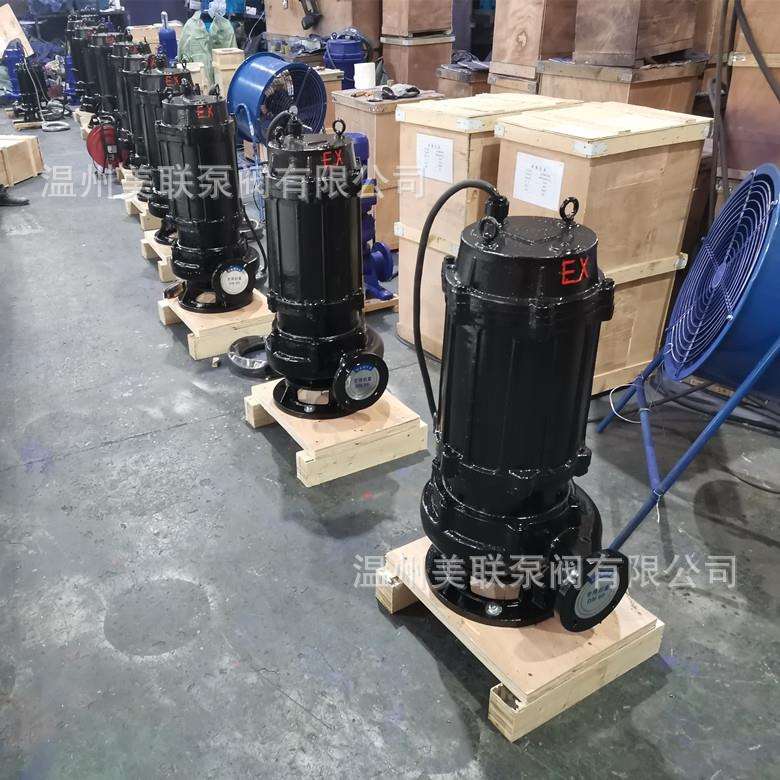 40QWB15-30-2.2防爆潜水泵 防爆潜水排污泵BT4/CT4