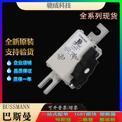 巴斯曼170M3973 170M3974 170M3975 厂价供应销售 快速保险丝