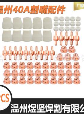 75PCS跨境OZON/亚马逊/温州40 PT-31电极/电嘴/瓷嘴/分流器组合装