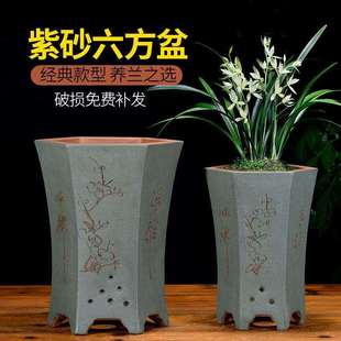 紫砂兰花盆大号出汗泥透气紫砂花盆方形六角六方花盆龙全