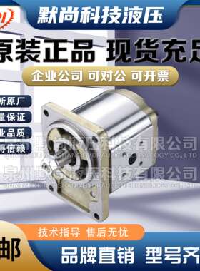 HONOR钰盟齿轮泵3GB6P133R 3GB6P118R 3GB6P120R 3GB6P123R油泵