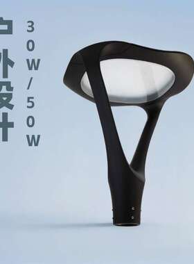 30W50WLED庭院灯道路景观灯现代简约精致庭院灯头工厂直供