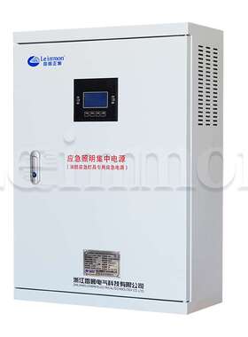 应急照明集中电源配电箱LM-D-·0.3KVA DC24V120分钟智能疏散指示