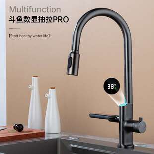 Multifunction Waterfall Digital Show Pull Out Kitchen Faucet