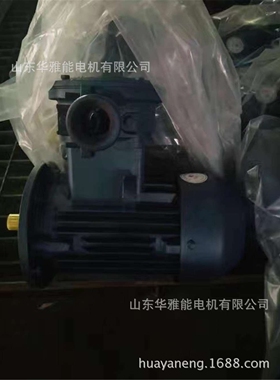 YBKE3电机|YZP-200L2-2-37电机替代上海电机YZP二级能效防爆电机