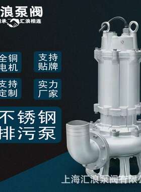 304不锈钢潜污泵 潜水排污电动污物泵 50WQ10-10-0.75 220V抽水泵