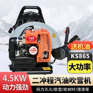 背负式汽油吹风机二冲程吹雪机大功率风力灭火机林业机械商用