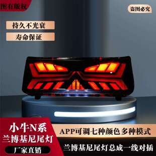 小牛25新款款直上尾灯N系APP双可调N play/NT/NLT电动摩总成直上