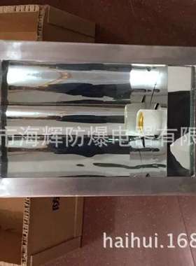 一体式不锈钢防爆防腐泛光灯BAT53-L400