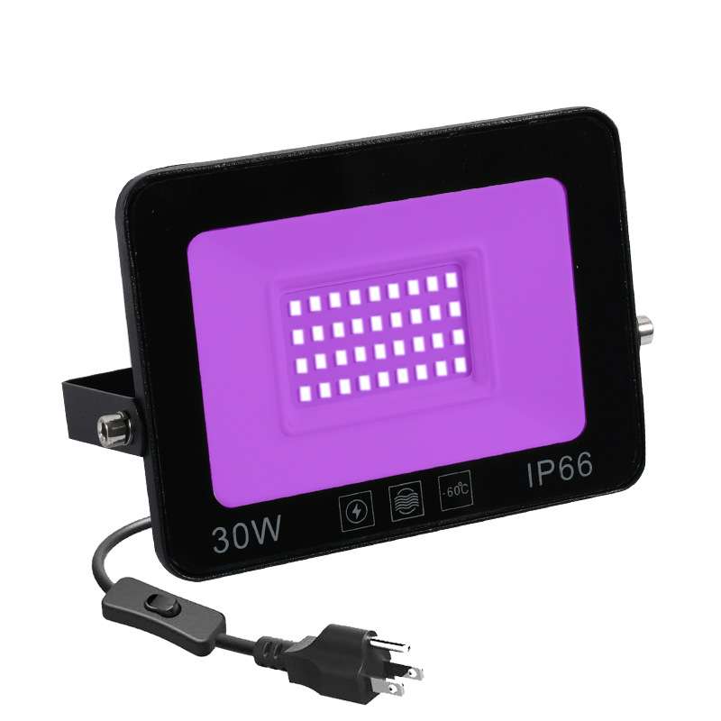 供跨境30W防水LED紫光派对泛光灯鬼屋万圣节装饰氛围UV投光灯110V