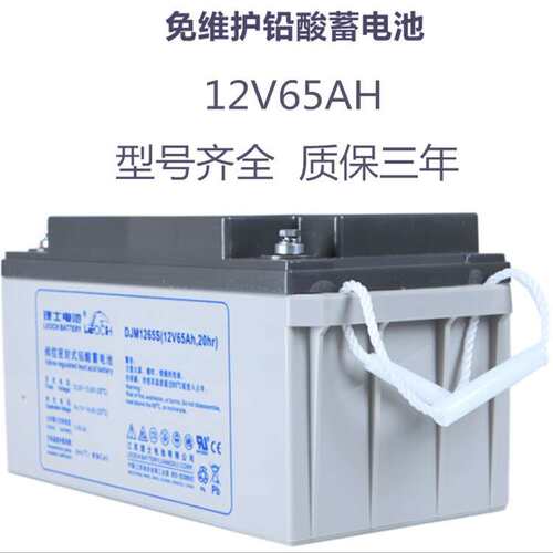 理士蓄电池DJM1265直流屏EPS太阳能ups通信机房12V65AH铅酸S