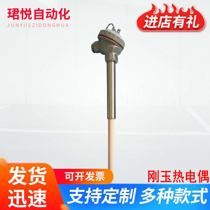 支持制作仪器温度仪表刚玉热电偶WRN-130精密高温测量测温