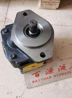 意大利卡斯帕CASAPPA齿轮泵KP30.31D0-A8K9-LMD/MB-N-KSC-VN