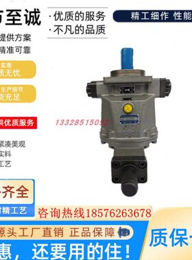 精工牌QG10/25/32/40/45/55/63/80/125/160/200Y-RP/LP轴向柱塞泵