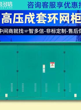 10kv高压环网柜HXGN15-12开闭所SF6充气柜成套开关柜电缆分支箱