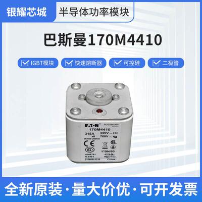 巴斯曼170M4410快速熔断器