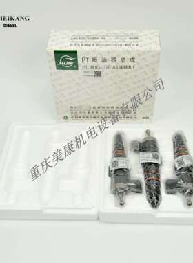 PT喷油器 M11-C310 3087648 零售 喷油器 燃油泵