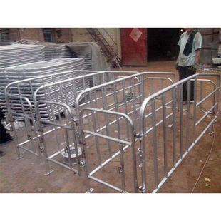 热镀锌猪栏养猪设备定位栏猪用限位栏热镀锌猪栏母猪定位栏