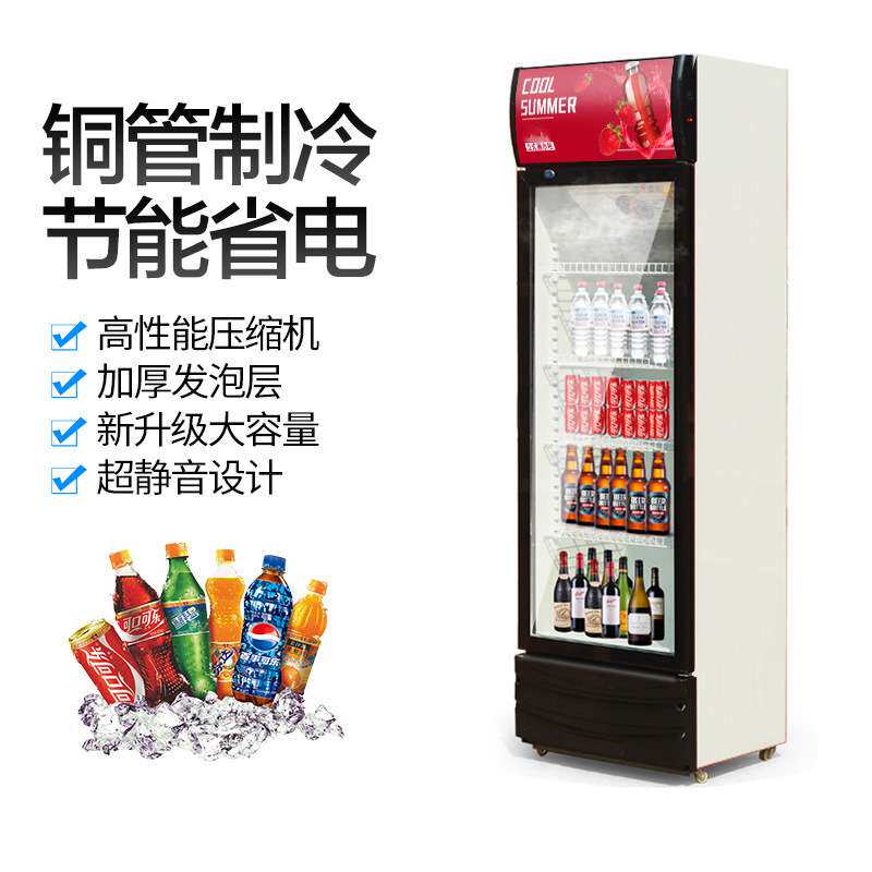 冷藏柜展示柜保鲜柜立式双门铜管商用饮料冷饮蔬菜水果柜冰柜立式