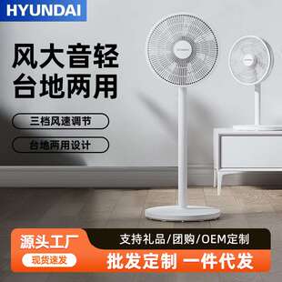 家用电风扇台地两用三档遥控定时8m远距送风轻音省电PP摇头落地扇
