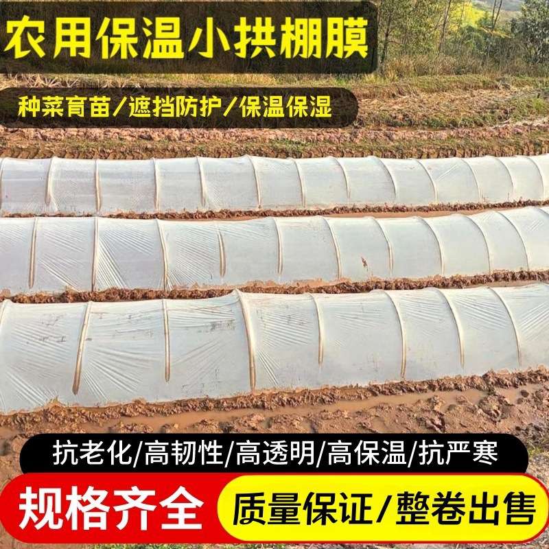 透明小拱棚塑料薄膜育苗防寒保温20斤1.4丝、2丝、4丝