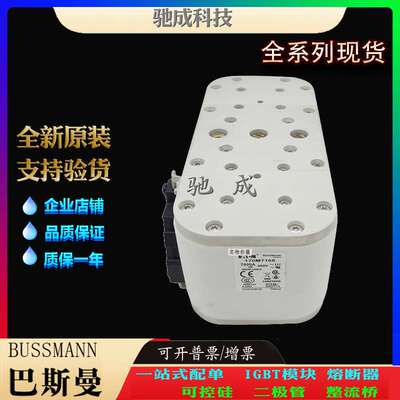 巴斯曼170M7166 170M7167 170M7168 大量现货厂价销售 快速保险丝