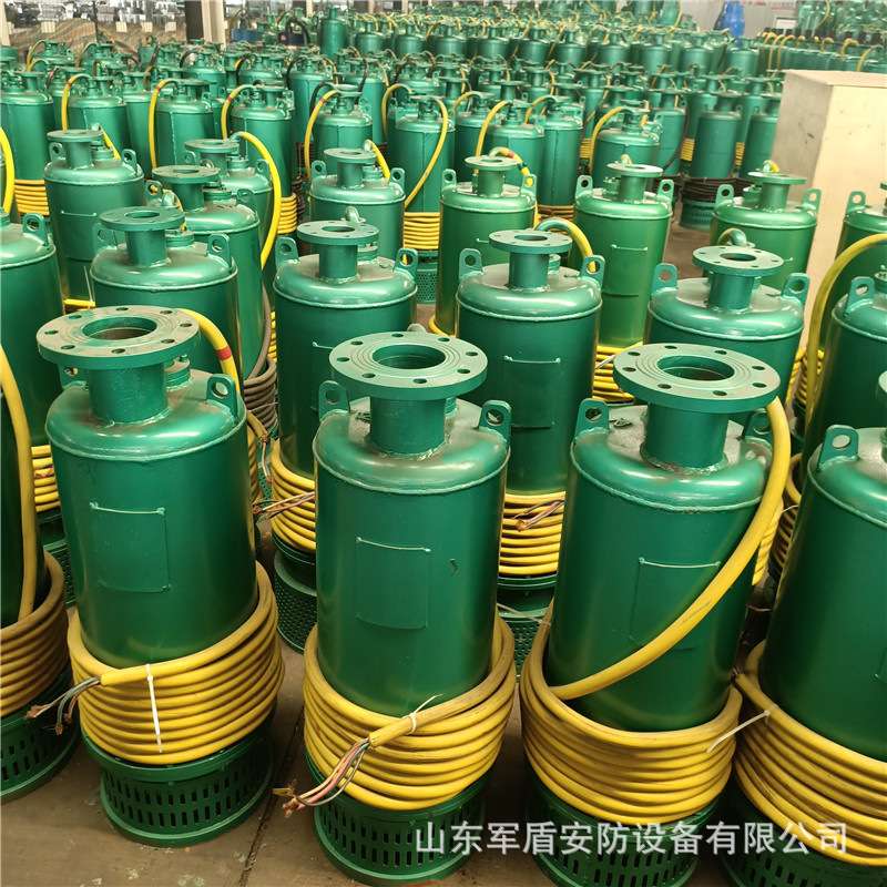 矿用铸铁防爆BQS800-90-315/NKW排沙潜水泵 隔爆型机械密封电动泵