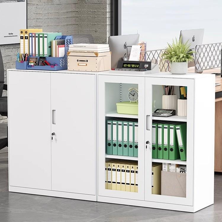 办公室铁皮文件柜带锁矮柜落地档案收纳柜对开资料柜钢制储物柜子