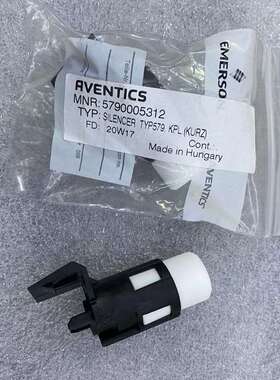 5790005312进口消声器