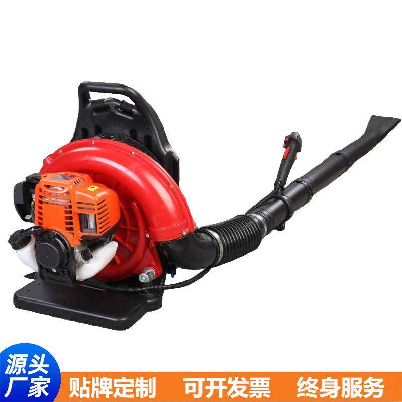 背负式大功率汽油机吹雪机吹风机风力灭火除尘落叶省油二冲四冲程,鲜花速递/花卉仿真/绿植园艺,割草机/草坪机,淘宝优惠券,粉丝福利购,淘宝优惠卷