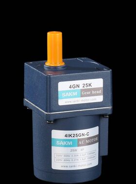 WC30 425NN25-调速电机齿轮减速电机4GGK-KI