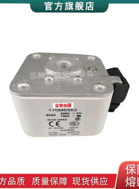 170M6503 6534 6557 6581 6586 6587巴斯曼bussmann熔断器保险丝