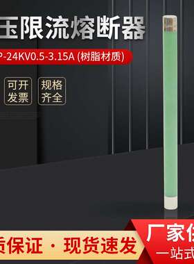 XRNP1-24KV/0.5A 1A 2A 3.15A高压高分断能力限流熔断器保险20KV