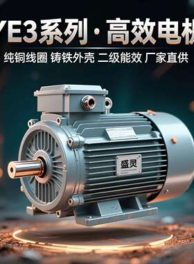 1.5kw二级能效三相异步电动马达