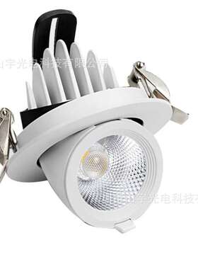 LED象鼻灯CREE灯珠CECBE3C高PF过认证无频闪电源20w30w象鼻灯射灯