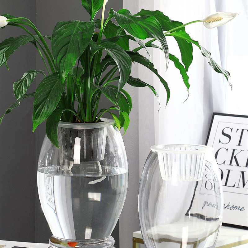 水培植物塑料瓶透明塑料花瓶器皿绿萝铜钱草室Q内客厅鱼缸容器大