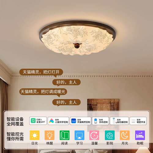 中古风法式卧室吸顶灯宋式美学南洋风温馨书房灯主卧中山灯具263L