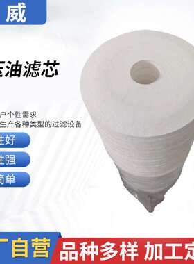 滤芯工厂供应?F27/27过滤器滤芯PA5600505液压油滤芯采油滤芯