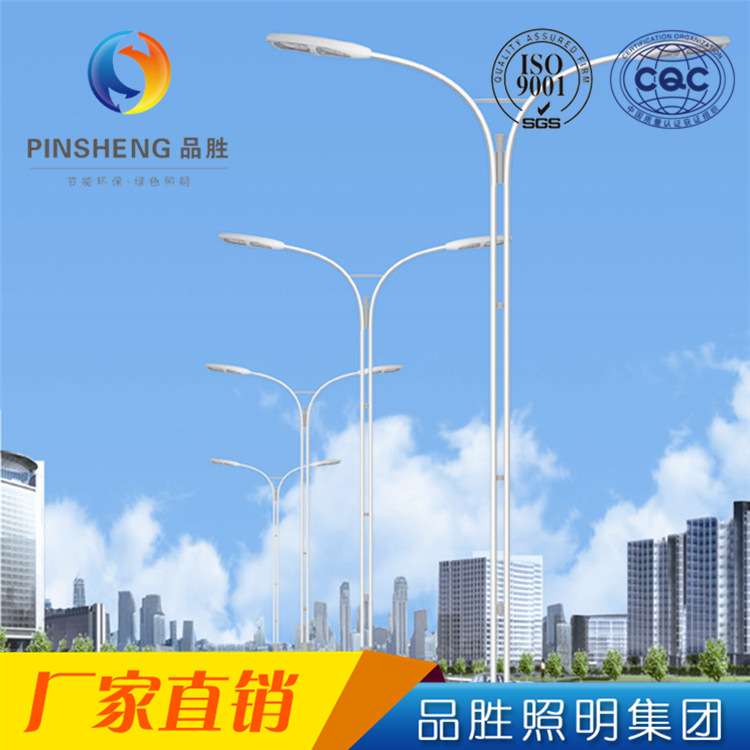 led路灯 自弯双臂节能路灯 户外道路照明路灯 庭院景观路灯厂家
