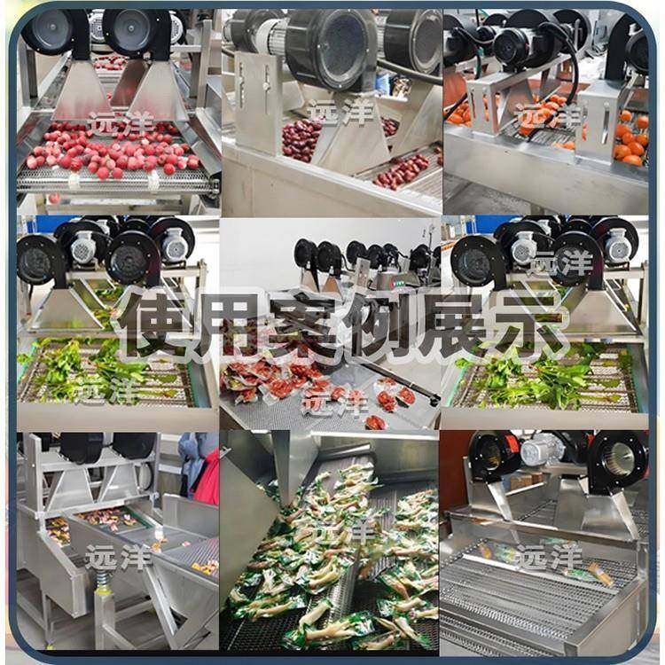 肉类屠宰加工设备全自动清洗风干线猪羊牛胴体冲洗吹干机风干机