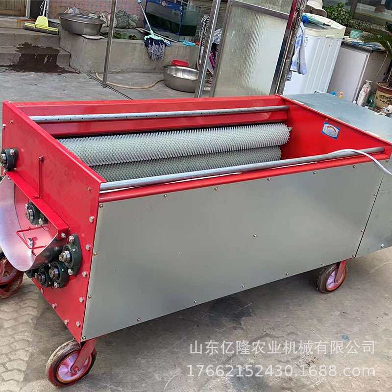 家用电动核桃剥壳机 核桃去青皮清洗机 硬纸核桃脱皮机