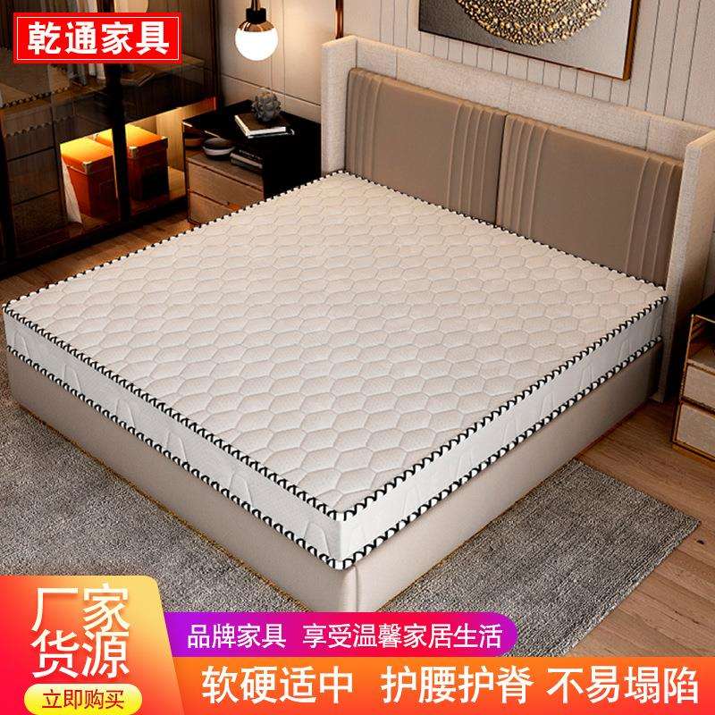 床垫双人家用五星酒店宾馆椰棕垫经济型民宿榻榻米棕榈弹簧垫子