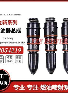康-明斯发动机 NTA855喷油器3054220油嘴3054219柴油配件4914308