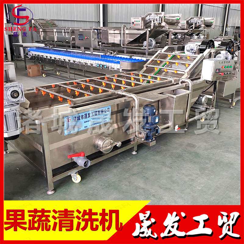 海白菜清洗机 速冻蕨菜喷淋清洗设备 土豆条淀粉翻浪清洗流水线