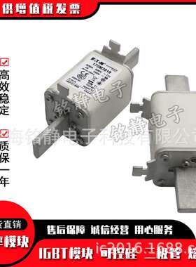 170M3986 170M3987 170M3988 170M3989 170M3990熔断器170M3991