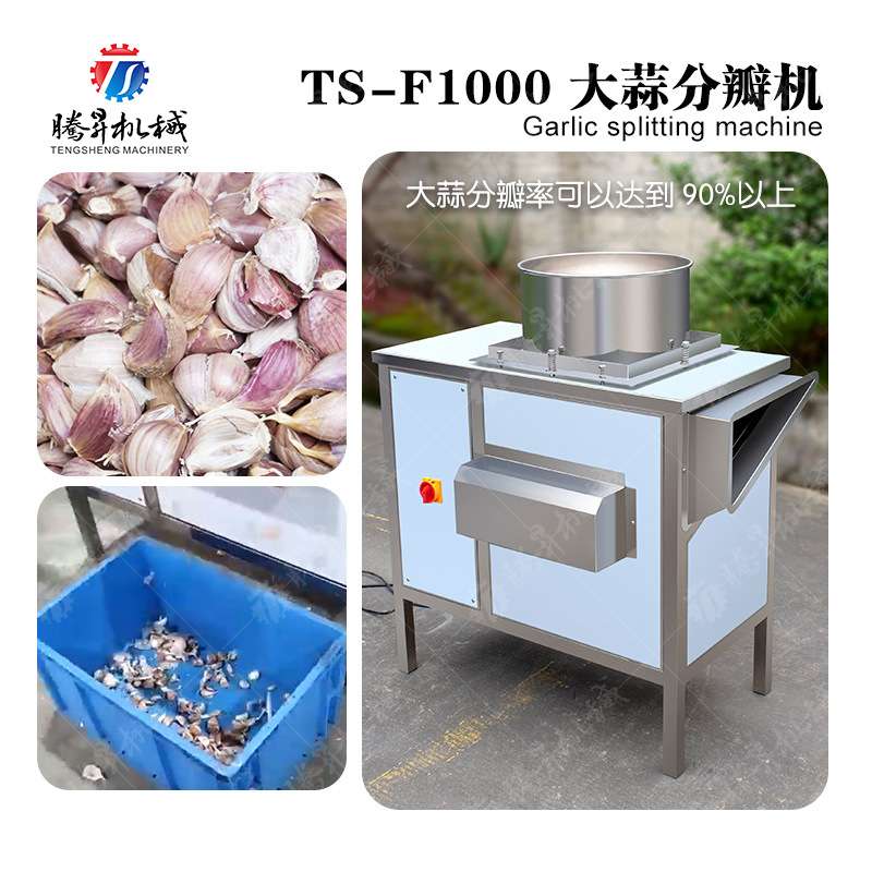 全不锈钢自动出料分瓣 大蒜机 大蒜掰瓣机 分瓣机 商用大蒜分瓣机