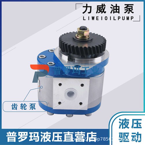 合肥力威 QC20/15-WP6J 汽车油泵 合肥天力方向动力泵转向泵