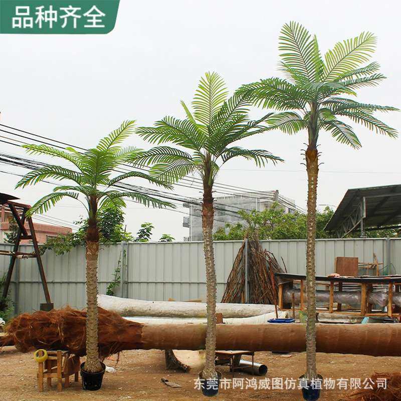 针葵树小椰子树扇葵树盆栽室内外仿真树绿植装饰仿真园艺造景搭配,玩具/童车/益智/积木/模型,遥控车升级件/零配件,淘宝优惠券,粉丝福利购,淘宝优惠卷