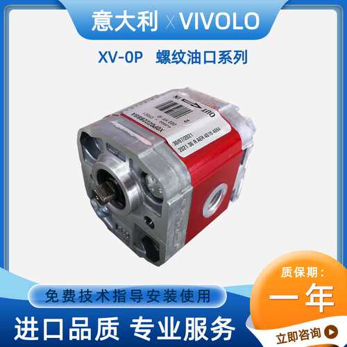 Vivoil high pressure gear pump X0P0221BBBA X0P0222BBBA